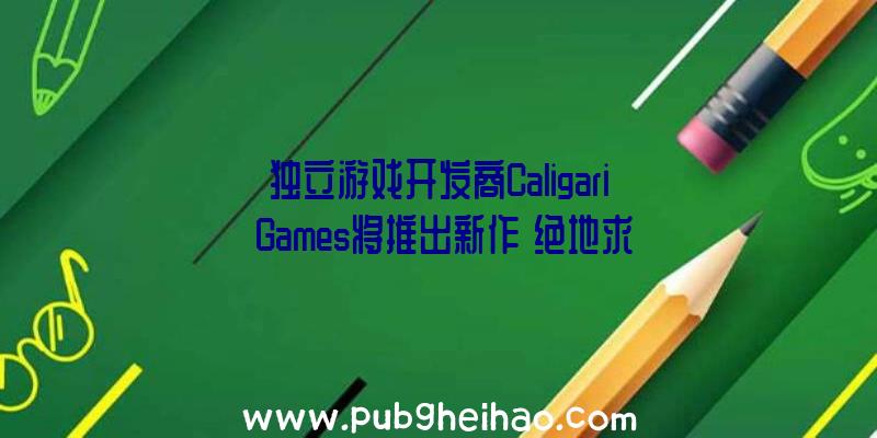 独立游戏开发商Caligari